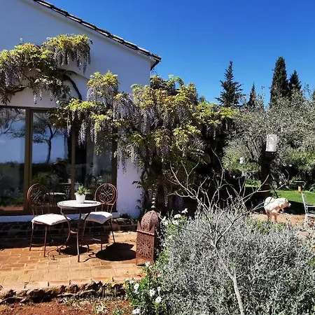 Bed and breakfast Roca Verde, Boutique (adults Only)