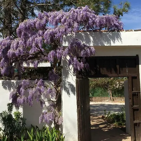 Bed and breakfast Roca Verde, Boutique (adults Only) Alhaurín de la Torre
