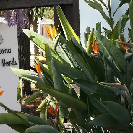 Roca Verde, Boutique (adults Only) 3*