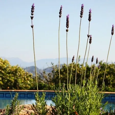 Roca Verde, Boutique - Adults Only 4* Альхаурин-де-ла-Торре