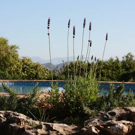 Roca Verde, Boutique (adults Only) Bed & Breakfast